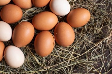 Sepette taze kahverengi yumurta. Organik yiyecekler