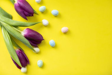 Sarı arka planda mor laleler. Bahar arka planı. Paskalya tatili
