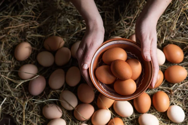 Chicken farm. Woman holding a bowl of homemade chicken eggs. Natural food