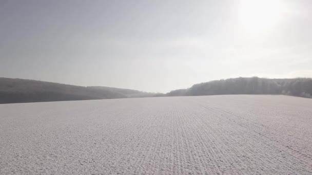 Agrarindustrie Winterweizenfelder Unter Dem Schnee Drohne Fliegt Über Winterweizenfeld — Stockvideo