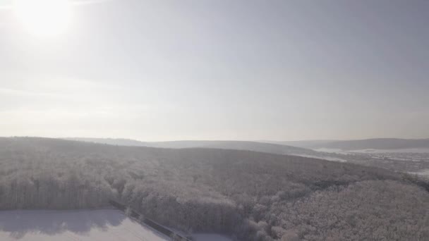 Industria Agraria Campos Trigo Invierno Bajo Nieve Drone Volando Sobre — Vídeos de Stock