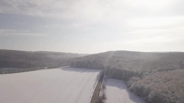 Aerial View Winter Forest Forest Road Landscape Drone Flying Winter — Αρχείο Βίντεο