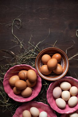 Tavuklu yumurta kaseli dikey arkaplan. Metin için boşluk