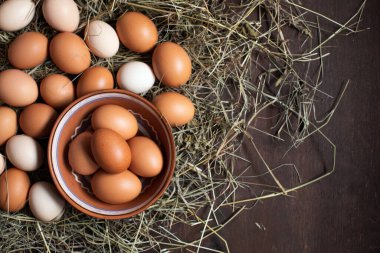 Paskalya hazırlığı. Yuvadaki kahverengi yumurtalar