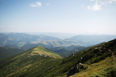 Yeşil tepeler ve dağlardan oluşan güzel bir manzara. Seyahat konsepti. Karpat Dağları