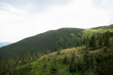 Yeşil dağlarla, ormanlarla ve mavi gökyüzüyle manzara