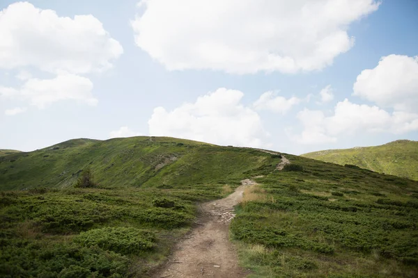 Paesaggio Con Montagne Verdi Foresta Cielo Blu — Foto Stock