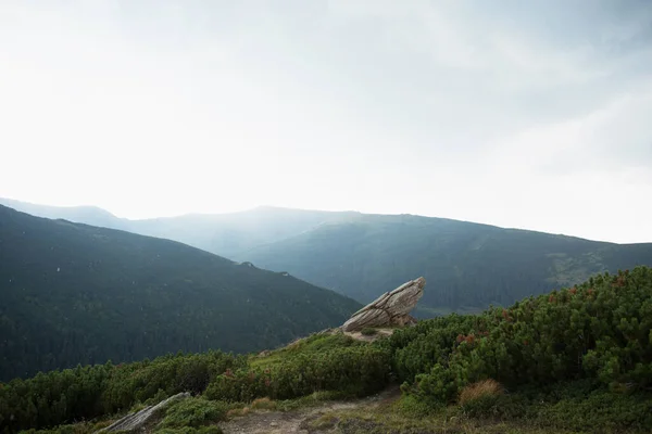 Beautiful Landscape Green Hills Mountains Travel Concept Carpathian Mountains — Stock Photo, Image