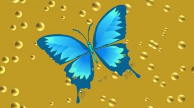 Video animasyon mavi tropikal kelebek bira boğulma