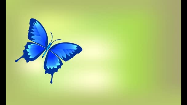 Flying mariposa azul se sienta en una flor en flor, animación de la primavera o el verano de vídeo — Vídeos de Stock