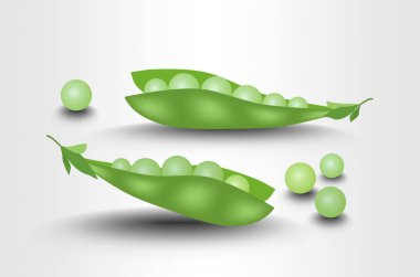 Beyaz arka plan üzerinde taze, fotogerçekçi izole illüstrasyon bezelye bakla