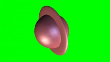 Soyut nesne gezegen Satürn benzer uzayda döndürme ve kırmızı arka plan, 3d yeşil ekranda video içine genişletiyor