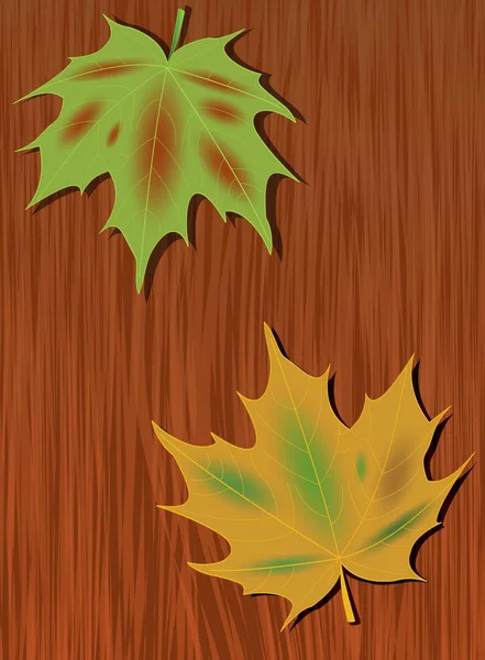 Gekleurde esdoorn bladeren in de achtergrond van donker hout.-herfst achtergrond met natuur motief. Groene en gele esdoornblad. — Stockvector