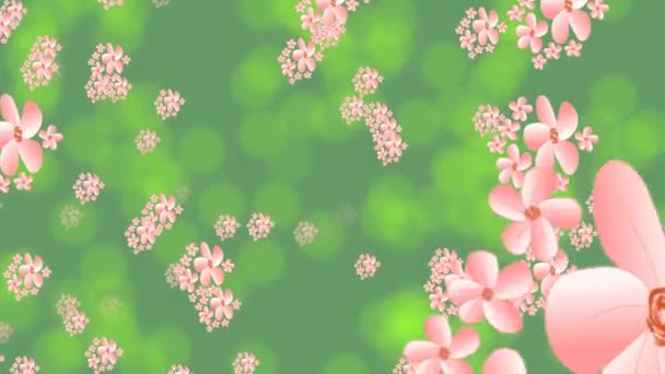 Flying pink flower on green background with bokeh lights reflections, título animado Hello spring. Bela peça publicitária para coleção de produtos de primavera, convite para festa de primavera — Vídeo de Stock