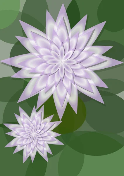 Fundo Waterlily com flor grande e pequena em círculo folhas verdes, espaço de cópia para a própria mensagem. Fundo natural bonito — Vetor de Stock