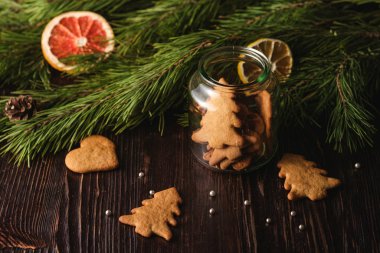 Zencefilli kurabiye Noel ağacı ve cam kavanozda kalp şeklinde ahşap arka planda, narenciye kurutulmuş meyveler, köknar ağacı dalı, açı açısı, seçici odak noktası.