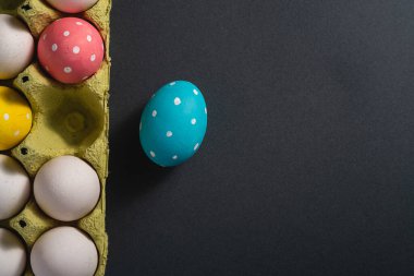 Renkli benekli paskalya yumurtaları yumurta tepsisinde koyu gri düz arka plan, tebrik kartı, fotokopi alanı, üst görünüm
