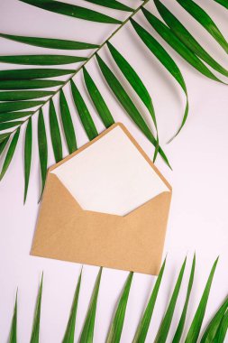 Palmiye yapraklarında beyaz kart olan Kraft kahverengi kağıt zarf, beyaz arkaplan, boş harf