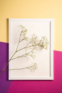 Beyaz resim çerçevesi boş şablon, çigila çiçekleri, krem, mor ve pembe renkli arkaplan, model kart