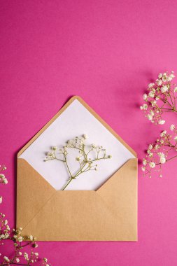 Beyaz boş kartlı Kraft kahverengi kağıt zarf, çigila çiçekleri, mor pembe arka plan, sahte boş harf.