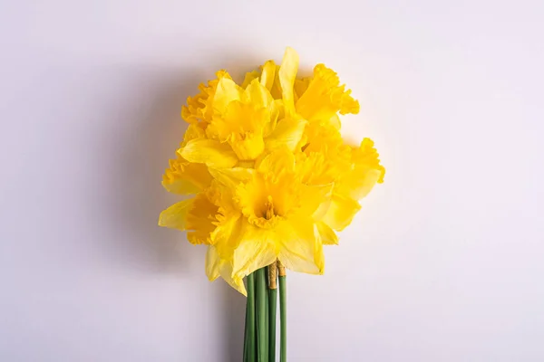 Daffodil Flowers Bouquet White Background Copy Space Top View — Stock Photo, Image