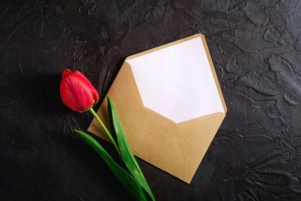 Single Red Tulip Flowers Envelope Card Textured Black Background Top — Stock Photo, Image