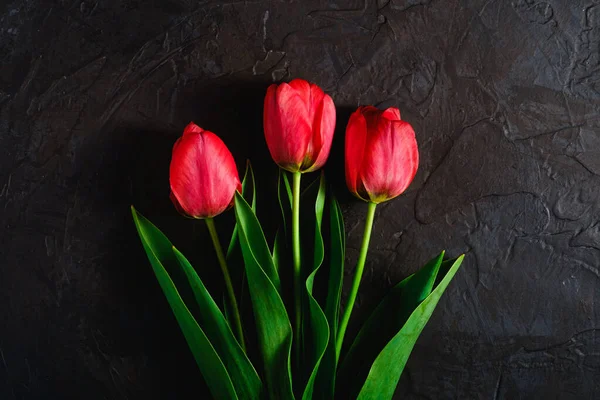 Red Bunch Tulip Flowers Textured Black Background Top View Copy — Stock Photo, Image