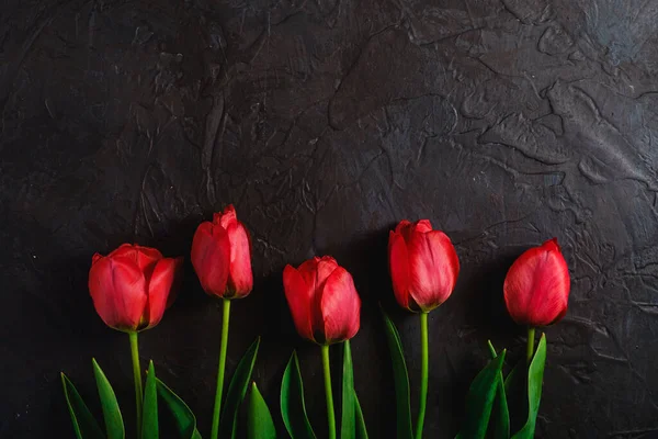 Row Tulip Flowers Textured Black Background Top View Copy Space — Stock Photo, Image