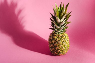 Pembe arkaplanda taze ananas, sert gölgeli, açı görünümlü kopyalama alanı