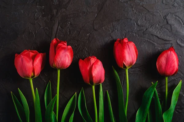 Row Tulip Flowers Textured Black Background Top View Copy Space — Stock Photo, Image