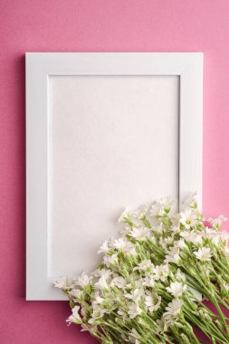 Pembe arka planda fare kulaklı civciv çiçekleriyle beyaz boş fotoğraf çerçevesi, üst görünüm kopyalama alanı