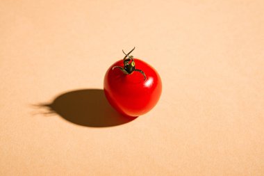 Tek kiraz domatesli sebze, taze olgun yiyecekler, az krem rengi arka plan, açı manzaralı.