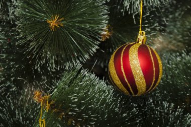 Renkli arka plan ile dekore edilmiş Noel ağacı