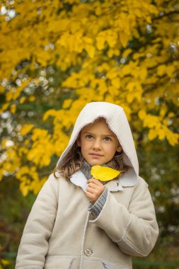 esmer kızla sarı sonbahar bir mahallede hafif bir ceket bırakın