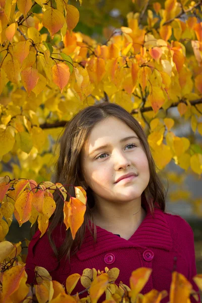 Chica morena con pelo largo en suéter rojo en hojas de otoño — Foto de Stock