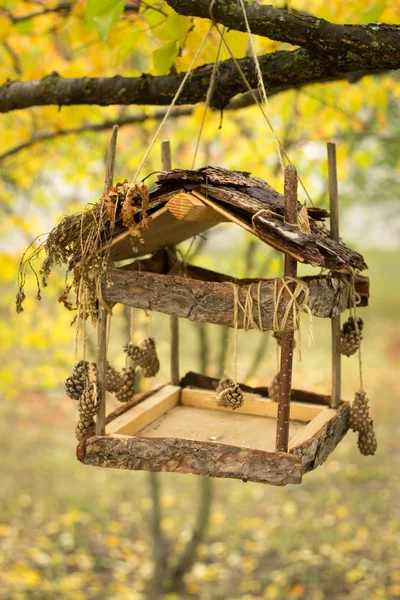 Alimentadores de aves decorados con conos de pino colgados de un árbol —  Fotos de Stock