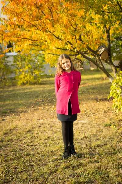 Mädchen Brünette mit langen Haaren in rotem Pullover im Herbst Blätter — Stockfoto