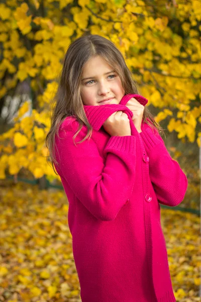 Mädchen Brünette mit langen Haaren in rotem Pullover im Herbst Blätter — Stockfoto