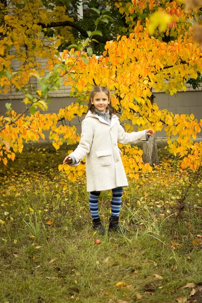 Esmer kızla sarı sonbahar bir mahallede hafif bir ceket bırakın — Stok fotoğraf