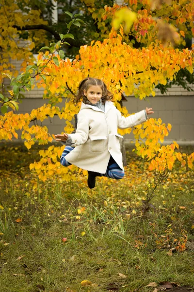 Ragazza bruna in un cappotto leggero con un cappuccio in congedo autunnale giallo — Foto Stock