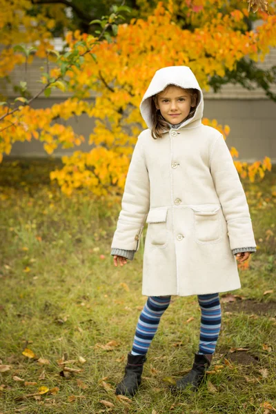 Brunette girl in a light coat with a hood in yellow autumn leave — Stock Photo, Image