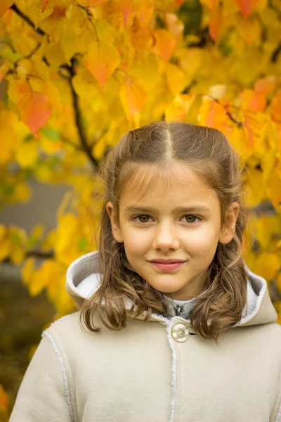 Brunette girl in a light coat with a hood in yellow autumn leave — Stock Photo, Image