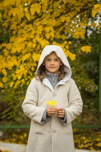 Brünettes Mädchen im hellen Mantel mit Kapuze im gelben Herbsturlaub — Stockfoto
