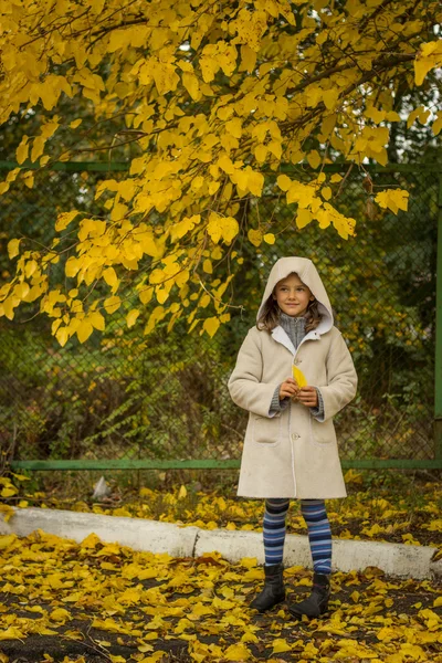 Brunetka v lehký kabát s kapucí žlutá podzim opustit — Stock fotografie