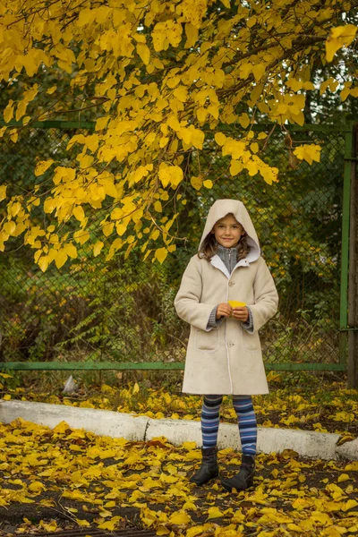 Brunetka v lehký kabát s kapucí žlutá podzim opustit — Stock fotografie