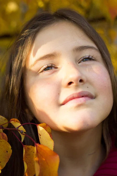 Ragazza bruna con i capelli lunghi in maglione rosso in autunno foglie — Foto Stock