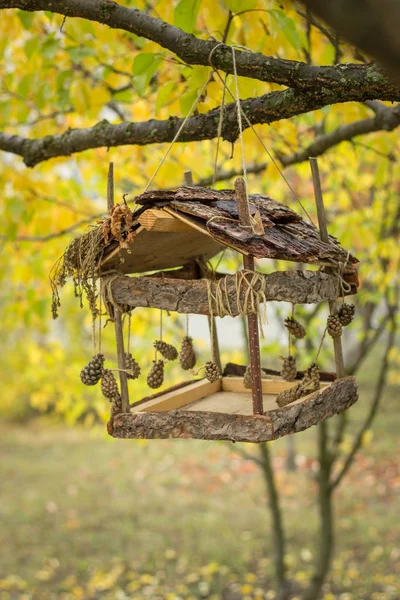 Alimentadores de aves decorados con conos de pino colgados de un árbol —  Fotos de Stock