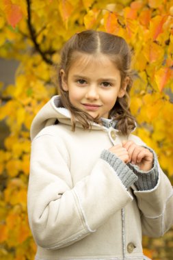 esmer kızla sarı sonbahar bir mahallede hafif bir ceket bırakın