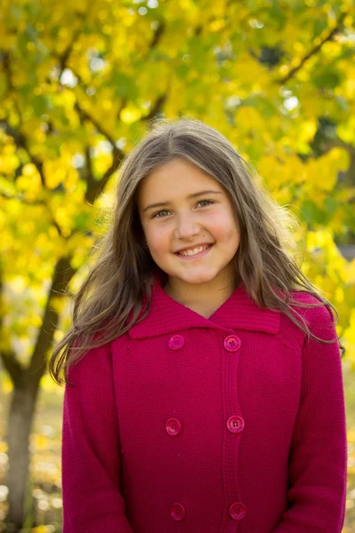 sonbaharın kırmızı kazaklı uzun saçlı esmer kız bırakır