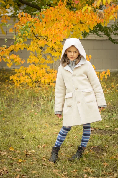 Brunette girl in a light coat with a hood in yellow autumn leave — Stock Photo, Image